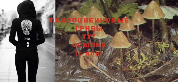 кокс Алзамай