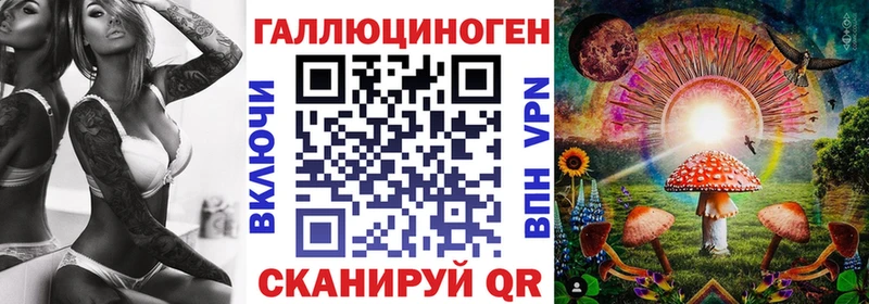 нарко площадка состав  купить закладку  кракен сайт  Бежецк  Галлюциногенные грибы Psilocybine cubensis 