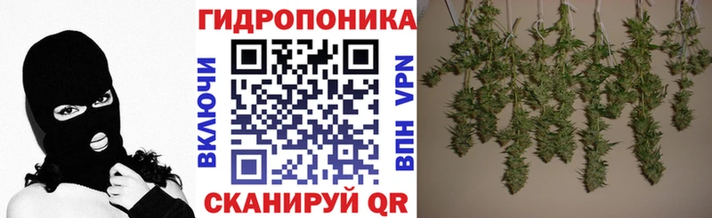 как найти закладки  mega ONION  Каннабис White Widow  Бежецк 